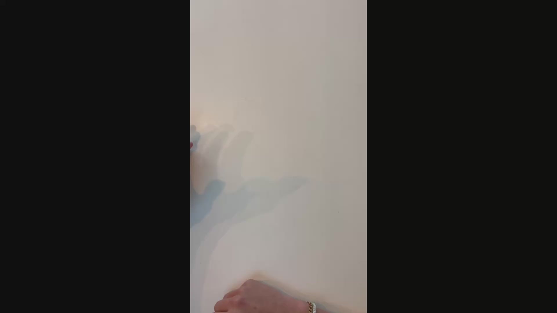 Charger la vidéo : 